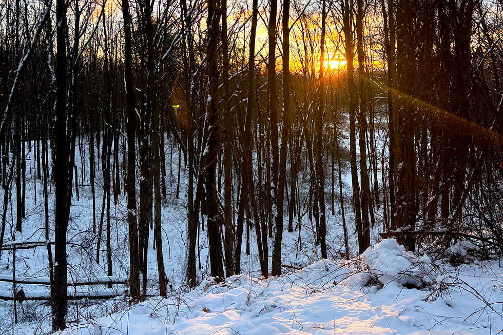 expedition detroit guide to snowshoeing near detroit guided snowshoe tour michigan highland state recreation area mt kanzer sunset milford white lake