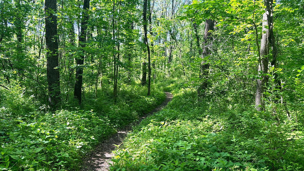 expedition detroit lyme disease michigan ticks health outdoors hiking parks medical poto potawatomi trail pinckney