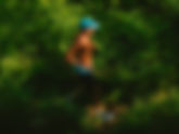5 Reasons Why You should Register for a 2027 Ultramarathon this Fall