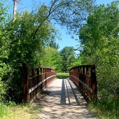 #TrailTuesday: Exploring Island Lake's Famous Yellow Trail Loop