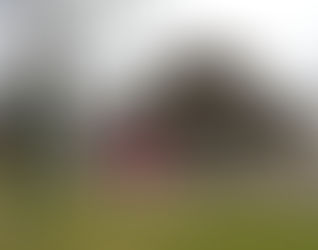 Trail Town Spotlight: The Outdoor Guide to Dexter, Michigan