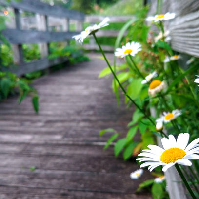 Top Ten Outdoor Events near Detroit throughout May 2023
