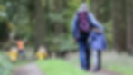 expedition detroit guided hike tours metro michigan outdoors adventure spring summer group