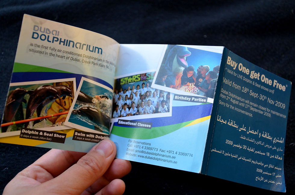 Dolphinarium