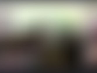 La Jefa de Gobierno, Clara Brugada, supervisa el proceso de chatarrización de unidades antiguas durante la presentación del programa de sustitución del transporte público individual 2025 en la alcaldía Venustiano Carranza.