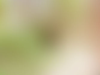 Medidas higiénicas y detección oportuna reducen riesgo de enfermedad de Chagas