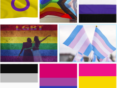 Los Colores de la Diversidad: Guía Esencial de las Banderas LGBTTTIQ+