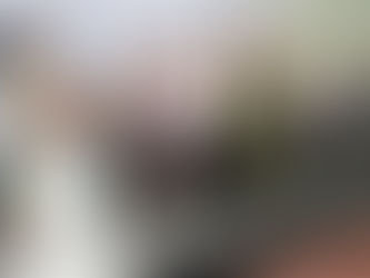 La coordinación entre Marina, Sedena y cuerpos estatales fortalece la vigilancia en el puerto de Manzanillo y las zonas urbanas de Colima.