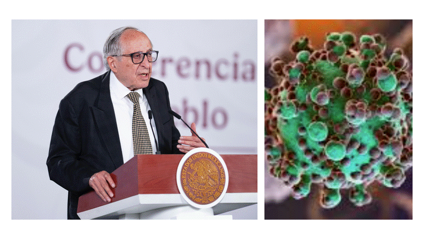 ¿Qué es el hantavirus? El virus respiratorio que mantiene en alerta a los expertos de salud