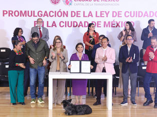 La nueva legislación mandata la creación de centros de día y espacios de desarrollo infantil para descentralizar las tareas de atención familiar.