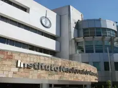 INCan aplica técnica de trasplante de médula ósea que brinda 80% de posibilidad de sobrevida