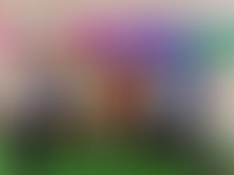 Jornada de vacunación fronteriza México-Guatemala y México-Belice