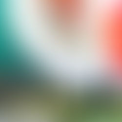 La Presidenta de México, Claudia Sheinbaum Pardo, encabeza la ceremonia conmemorativa del Día de la Bandera en México desde el Campo Marte