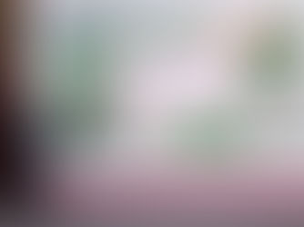 Colapso de Puentes y Deslizamientos Kilométricos: México en Emergencia Vial por Lluvias de "Mil Años", ¡Entérate del Megaplán de Rescate!