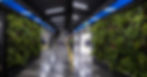 Módulos de jardines verticales equipados con sistemas automáticos de iluminación y riego en los andenes de la estación piloto del sistema subterráneo.