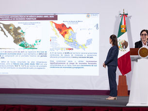 En el país existen 114 incendios activos en 23 entidades federativas