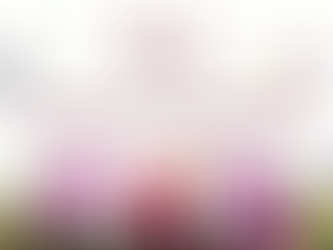 Gobierno de la Ciudad de México Anuncia Reducción Histórica del 80% en Robo de Vehículo con Violencia en 2025