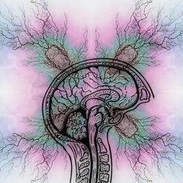 Concientización y educación médica en el Día Internacional de la Epilepsia para reducir riesgos y estigmas.