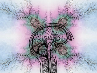 Concientización y educación médica en el Día Internacional de la Epilepsia para reducir riesgos y estigmas.