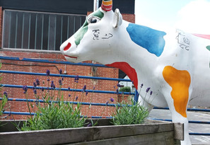 vaca.jpg
