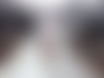 PROCESSION HONORS McCORMICK