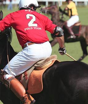Polo-Spieler auf dem Pferd