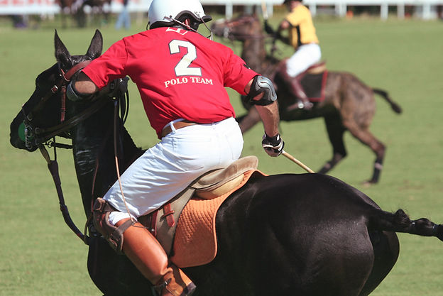 Polo-Spieler auf dem Pferd