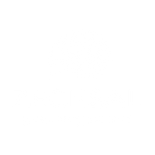 logozechsal_edited.png