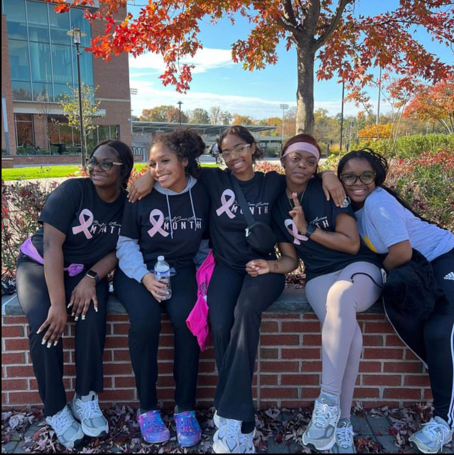 Domestic Violence Awareness Walk : Violence is Violence