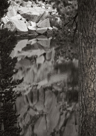 Sequoia Pond