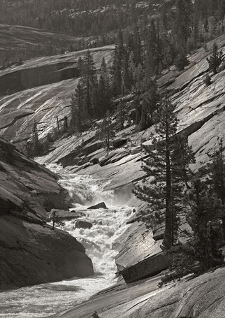 Upper Merced on Granite