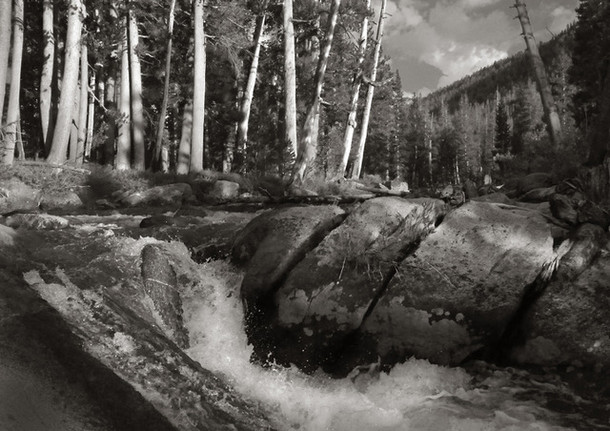 Evolution Creek