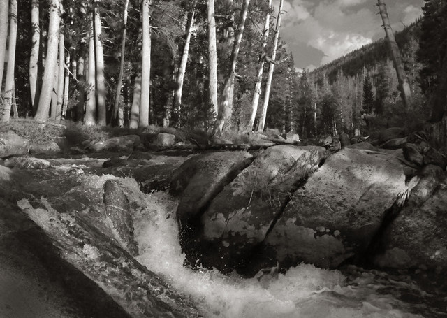 Evolution Creek
