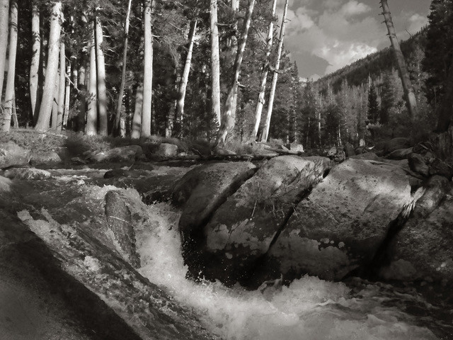 Evolution Creek