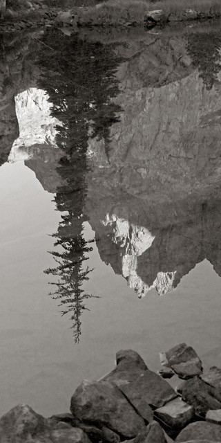 Ediza Reflection