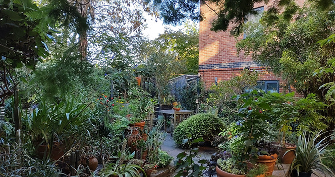 IMG_20231015_091133183_HDR.jpg