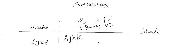 TraductionProjetCodex-Shadi-syrien-amour