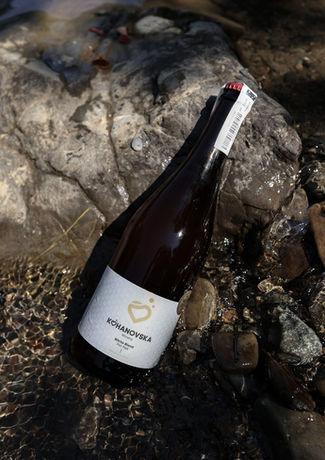 528035990_122202862040271302_1699191423231762349_n