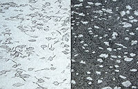 GRATALOUP - 2003 - CLEAR DARK