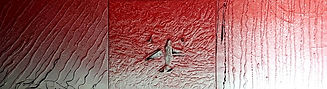GRATALOUP - GR-P-000219 - Août 2001 - crash