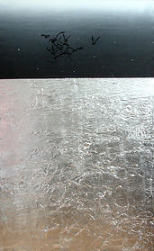 2004 - 2005 MER LACS ET OISEAUX