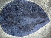 GRATALOUP - 1975 - PAINTER's EYE I