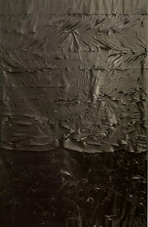 GRATALOUP - GR-P-000700 - Matricia obscura I