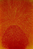 GRATALOUP - 1971 - PALMTREES HEARTS