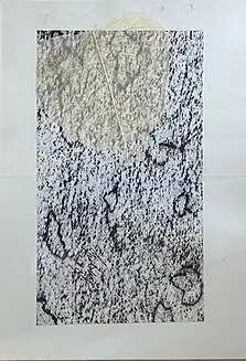 GRATALOUP - GR-F-000003 - Composition à la feuille - Frottage