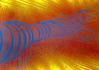 GRATALOUP - 1975 - CHROMATIC YELLOW WAVE