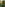 fullsizeoutput_14a3.jpeg
