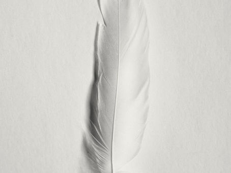 Seeing White Feathers? What the Angels Are Trying to Tell You