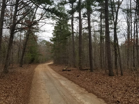 REPORT: Field Research near Mark Twain National Forest, Missouri 03/25 - 03/28 2019