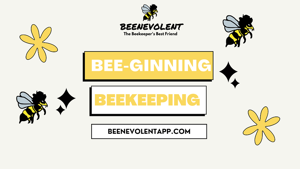 BEEginning - METTER